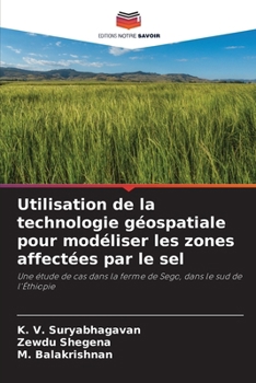 Utilisation de la technologie géospatiale pour modéliser les zones affectées par le sel (French Edition)
