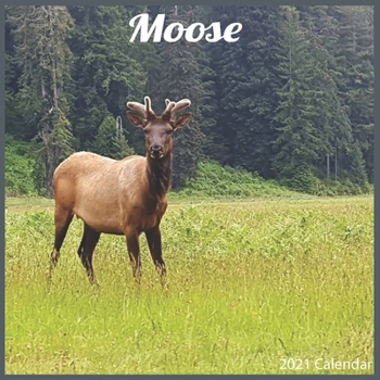 Paperback Moose 2021 Calendar: Official ELK Moose Calendar 2021 Book