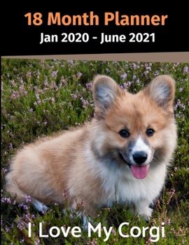 Paperback Jan 2020 - June 2021 18 Month Planner: I Love My Corgi Book