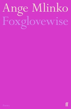 Paperback Foxglovewise Book
