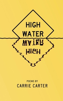 Paperback High Water Book