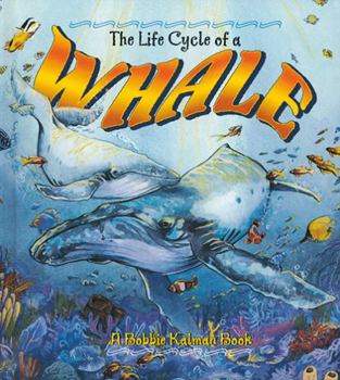 Paperback The Life Cycle of a Whale Book