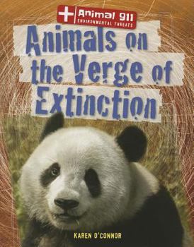 Paperback Animals on the Verge of Extinction Book