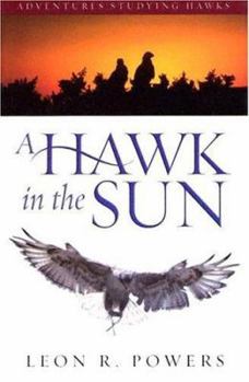 Paperback A Hawk in the Sun: Adventures Studying Hawks Book