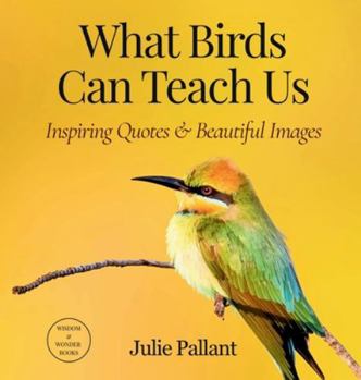 What Birds Can Teach Us: Inspiring Quotes & Beautiful Images