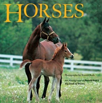 Paperback Horses: An Abridgement of Harold Roth's Big Book of Horses Book