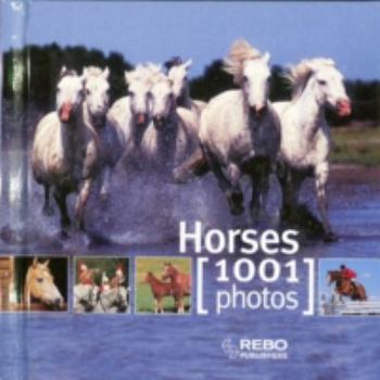 Paperback 1001 Photos Cubebook Horses Book