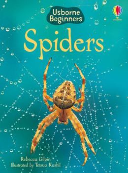 Spiders (Beginners) - Book  of the Beginners Series