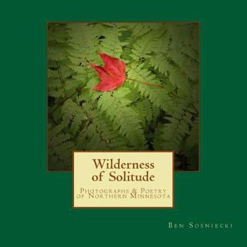 Paperback Wilderness of Solitude Book