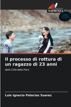 Paperback Il processo di rottura di un ragazzo di 23 anni [Italian] Book
