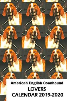 Paperback American English Coonhound Lovers Calendar 2019-2020 Book