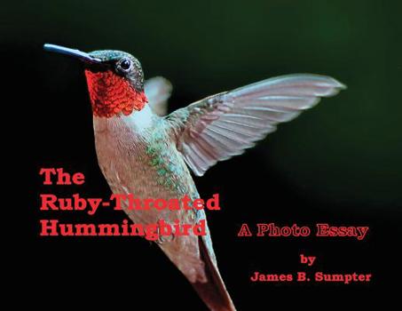 Paperback The Ruby-throated Hummingbird: A Photo Essay Book