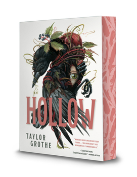 Paperback Hollow Book