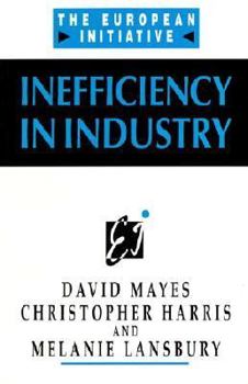 Paperback Inefficiency in Industry Book