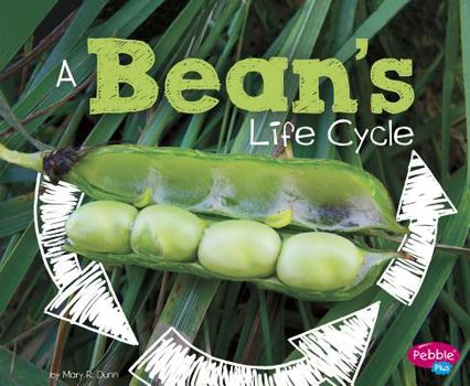 A Bean's Life Cycle - Book  of the Explore Life Cycles