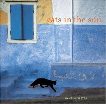Paperback Cats in the Sun Book