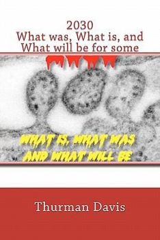 Paperback 2030 What Was, What Is and What will be for Some Book