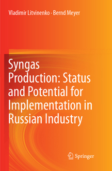 Paperback Syngas Production: Status and Potential for Implementation in Russian Industry Book