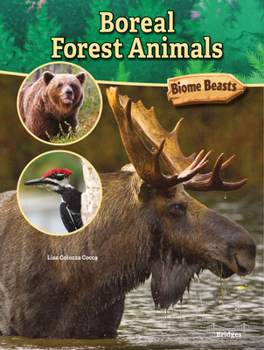 Hardcover Boreal Forest Animals Book