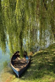 Paperback A Rowboat Under a Weeping Willow Tree Journal: 150 Page Lined Notebook/Diary Book