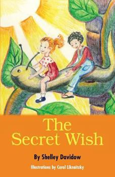 Paperback The Secret Wish Book