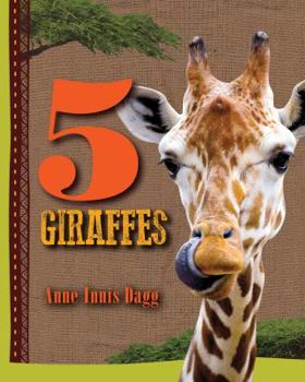 Hardcover 5 Giraffes Book