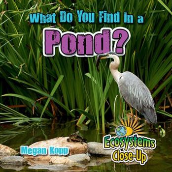 Hardcover What Do You Find in a Pond? Book