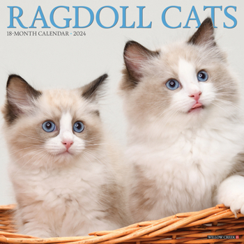 Calendar Ragdoll Cats 2024 12 X 12 Wall Calendar Book