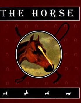 Hardcover Horse Book
