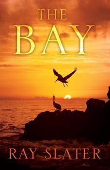 Paperback The Bay Book