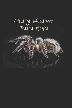 Paperback Curly Haired Tarantula notedbook: 100 lined pages Book