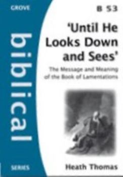 Until He Looks Down and Sees: the message and meaning of the book of Lamentations (Biblical series)