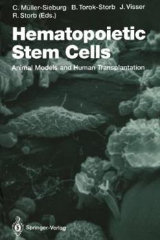 Hematopoietic Stem Cells: Animal Models and Human Transplantation
