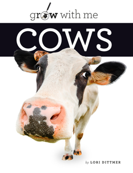 Library Binding Cows Book
