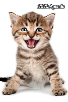 2020 Agenda: Chaton ou Chat | 139 Pages | 12 Mois | Format A5 | Agenda | Journalier | Planificateur | Semainier Simple | Calendrier | Organizer (French Edition)