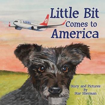 Paperback Little Bit Comes to America Book