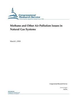Paperback Methane and Other Air Pollution Issues in Natural Gas Systems Book