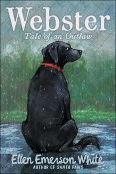 Paperback Webster: Tale of an Outlaw Book