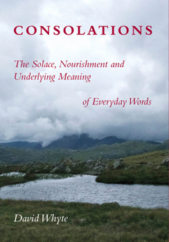 Hardcover Consolations: The Solace, Nourishment and Underlying Meaning of Everyday Words Book