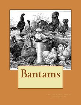 Paperback Bantams Book