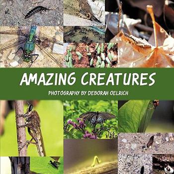 Paperback Amazing Creatures Book