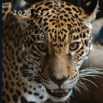 2021 - 2022: 18 Month Calendar | Monthly Photo Calendar | July 2021 - December 2022 | Monthly Calendar with U.S./UK/ Canadian/Christian/Jewish/Muslim Holidays | Leopard Calendar