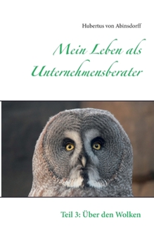 Paperback Mein Leben als Unternehmensberater: Teil 3: Über den Wolken [German] Book