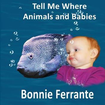 Paperback Tell Me Where: Animals and Babies Book