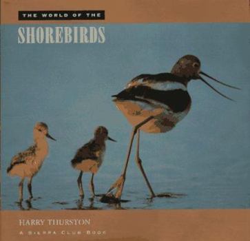 Hardcover Sch-World of the Shorebirds Book