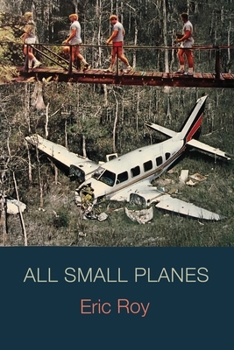 Paperback All Small Planes Book
