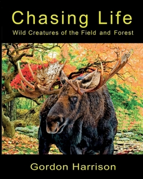 Chasing Life: Wild Creatures of the Field and Forest 1999225945 Book Cover