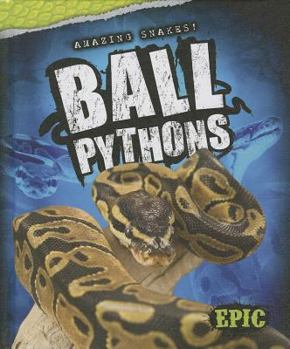 Library Binding Ball Pythons Book
