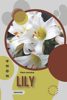 Lily: Simply beginners guide