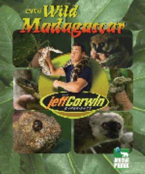 Paperback The Jeff Corwin Experience - Into Wild Madagascar Book